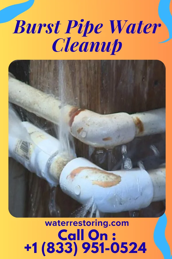 Burst Pipe Water Cleanup in Huntley, IL