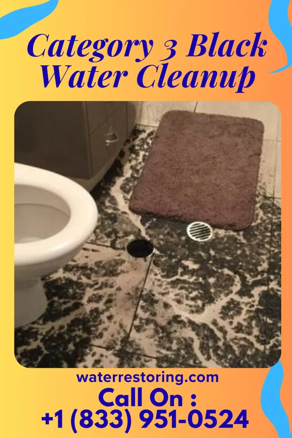 Category 3 Black Water Cleanup in Huntley, IL