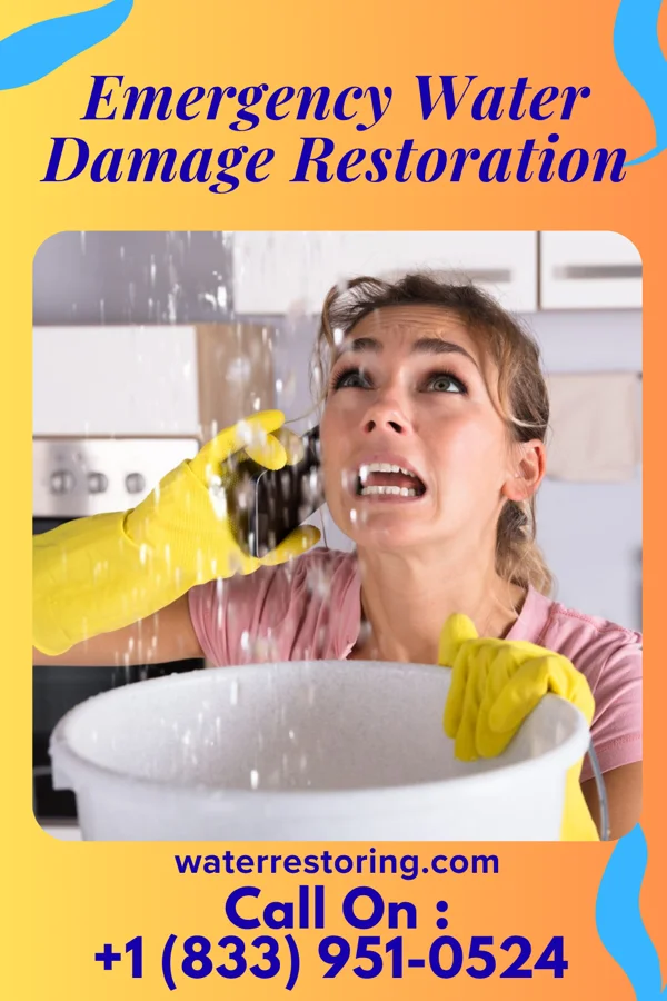 Emergency Water Damage Restoration in Huntley, IL