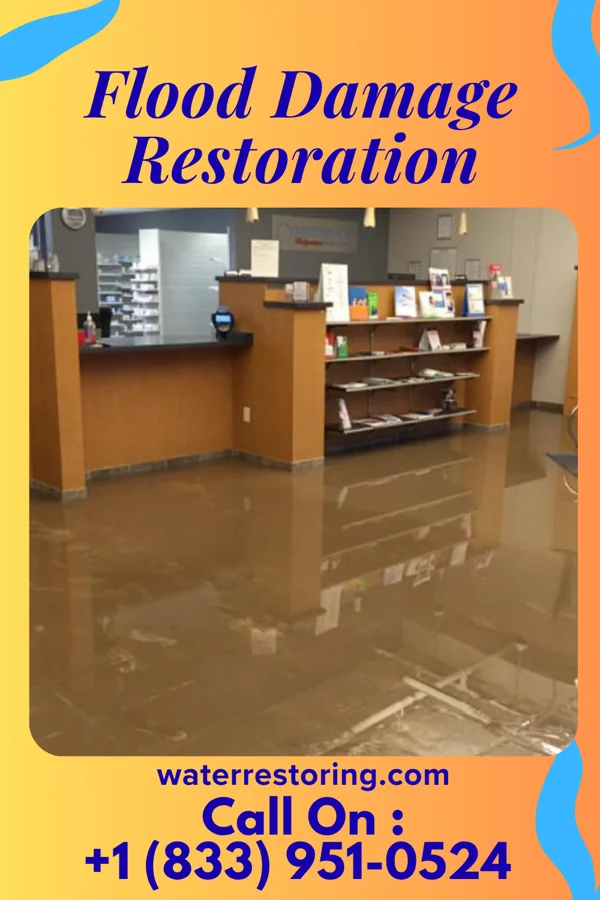 Flood Damage Restoration in Huntley, IL