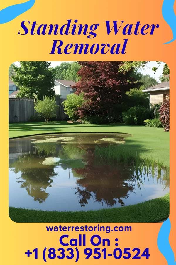 Standing Water Removal in Huntley, IL